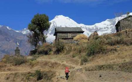 Ganesh Himal Region Trekking