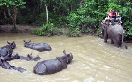 Jungle Safari in Nepal