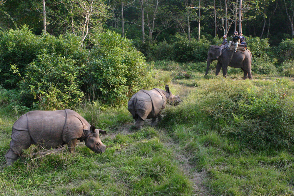 bardia jungle safari tour