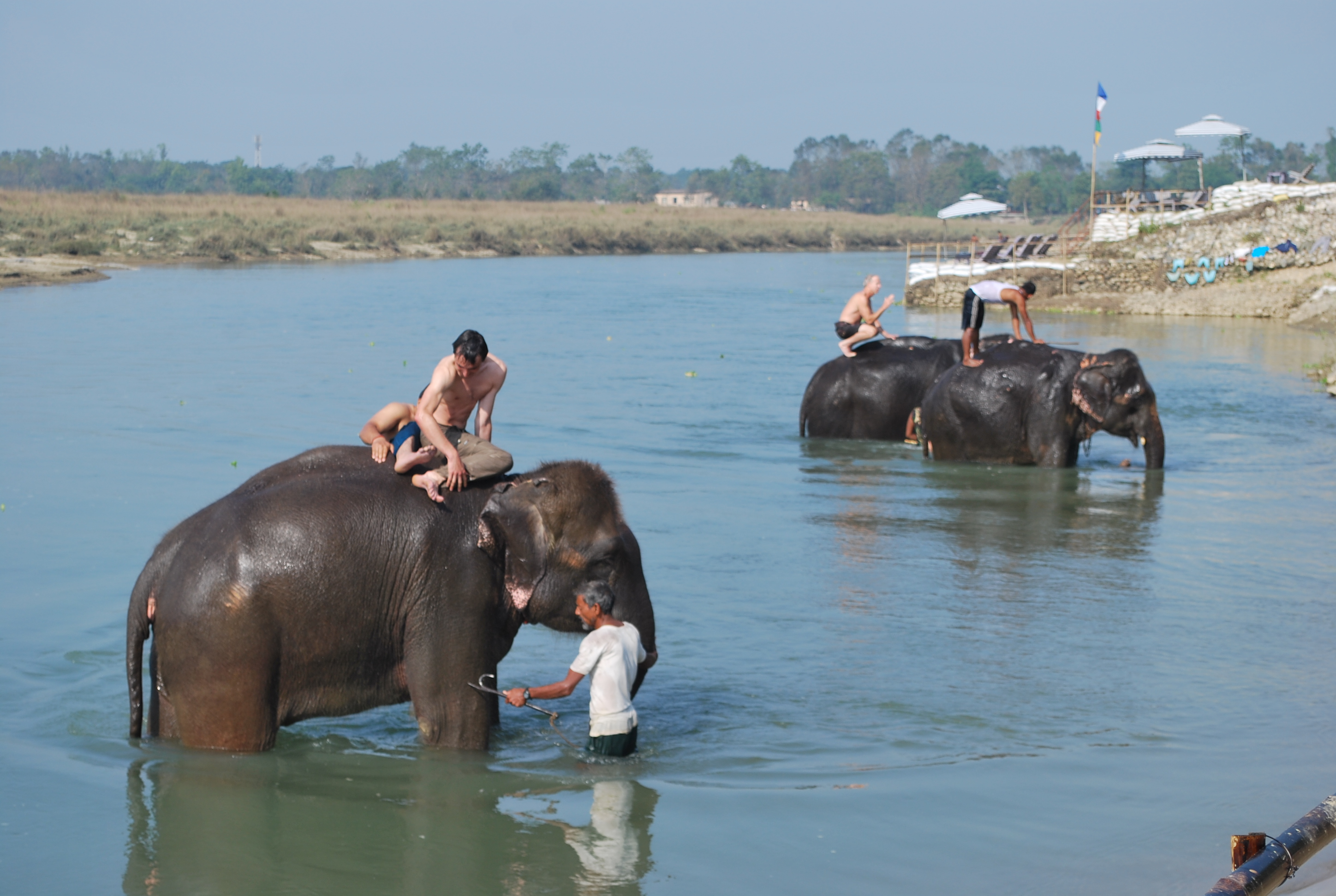 bardia jungle safari tour