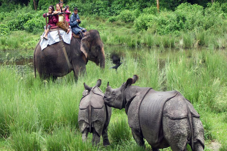 bardia jungle safari tour