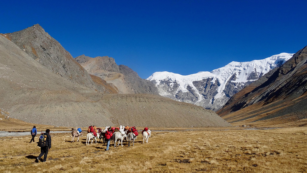 lower dolpo trek itinerary