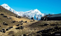 Adventure Khair (Kopra Ridge) Trekking-