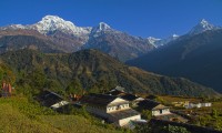 Annapurna, Chitwan Jungle and Everest Trekking