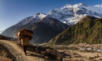 Mt. Annapurna IV Expedition