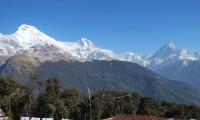 Annapurna and the Chitwan Jungle Safari