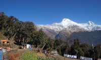 Annapurna and the Chitwan Jungle Safari