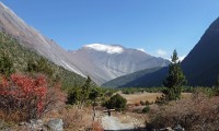 Manang and Tilicho Lake Trekking