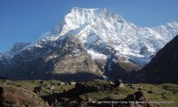 Api Himal Base Camp Trekking