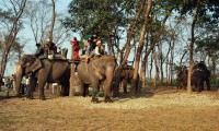 Bardia Jungle Safari Tour