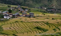 Gangtey Valley Tour