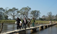 Ghorepani Poon Hill and Chitwan