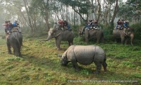 Chitwan Wildlife Heli Tour