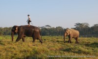 Chitwan Wildlife Heli Tour