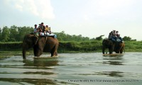 Chitwan Wildlife Heli Tour