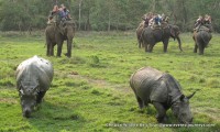 Chitwan Wildlife Heli Tour