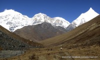 Chomolhari Trek