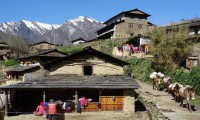 Churen Himal Base Camp Trek