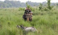 Koshi Tappu Safari Eastern Nepal