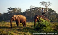 Exploratory of Nepal