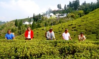 Himalayan Heritage Tours in Darjeeling and Sikkim