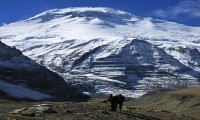 Dhaulagiri French pass with Annapurna Trekking