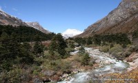 Druk Path Trekking