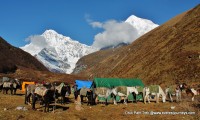 Druk Path Trekking