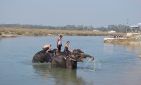 2 Night 3 Days Jungle Safari in Chitwan Nepal