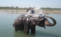 Chitwan Jungle Safari Nepal