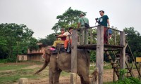 Ghorepani Poon Hill and Chitwan