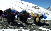 International Everest North Col Expedition from Tibet Side