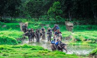 Everest Trail Trek with Chitwan Jungle Safari