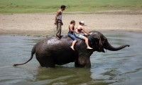 Chitwan Jungle Safari Nepal