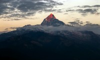 Machhapuchhre Model Trekking