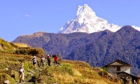 Annapurna, Chitwan Jungle and Everest Trekking