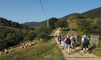 Gangtey Valley Tour