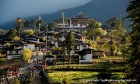 Gangtey Valley Tour