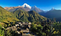 Annapurna and the Chitwan Jungle Safari