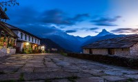 Annapurna and the Chitwan Jungle Safari