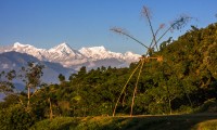 Ghatlang Village and Langtang Trek