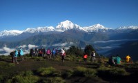 Annapurna and the Chitwan Jungle Safari
