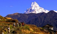 Annapurna and the Chitwan Jungle Safari