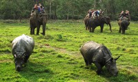 Helambu and Chitwan Jungle Safari