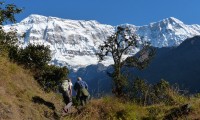 Gurja Himal Base Camp Trekking