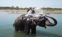 Helambu and Chitwan Jungle Safari