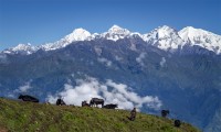 Langtang and Helambu Trekking