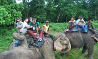 Helambu and Chitwan Jungle Safari