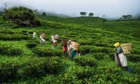 Himalayan Heritage Tours in Darjeeling and Sikkim