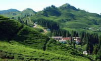 Kanchenjunga Base Camp Trek